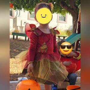 Enchanted fairy costume